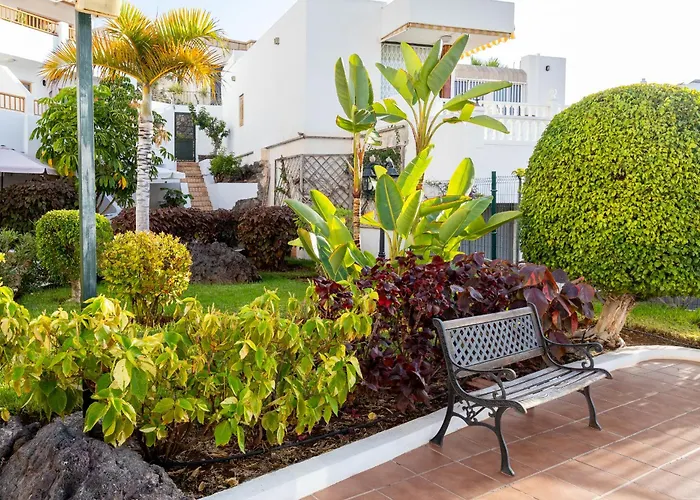 Geranios 307 * 아데제